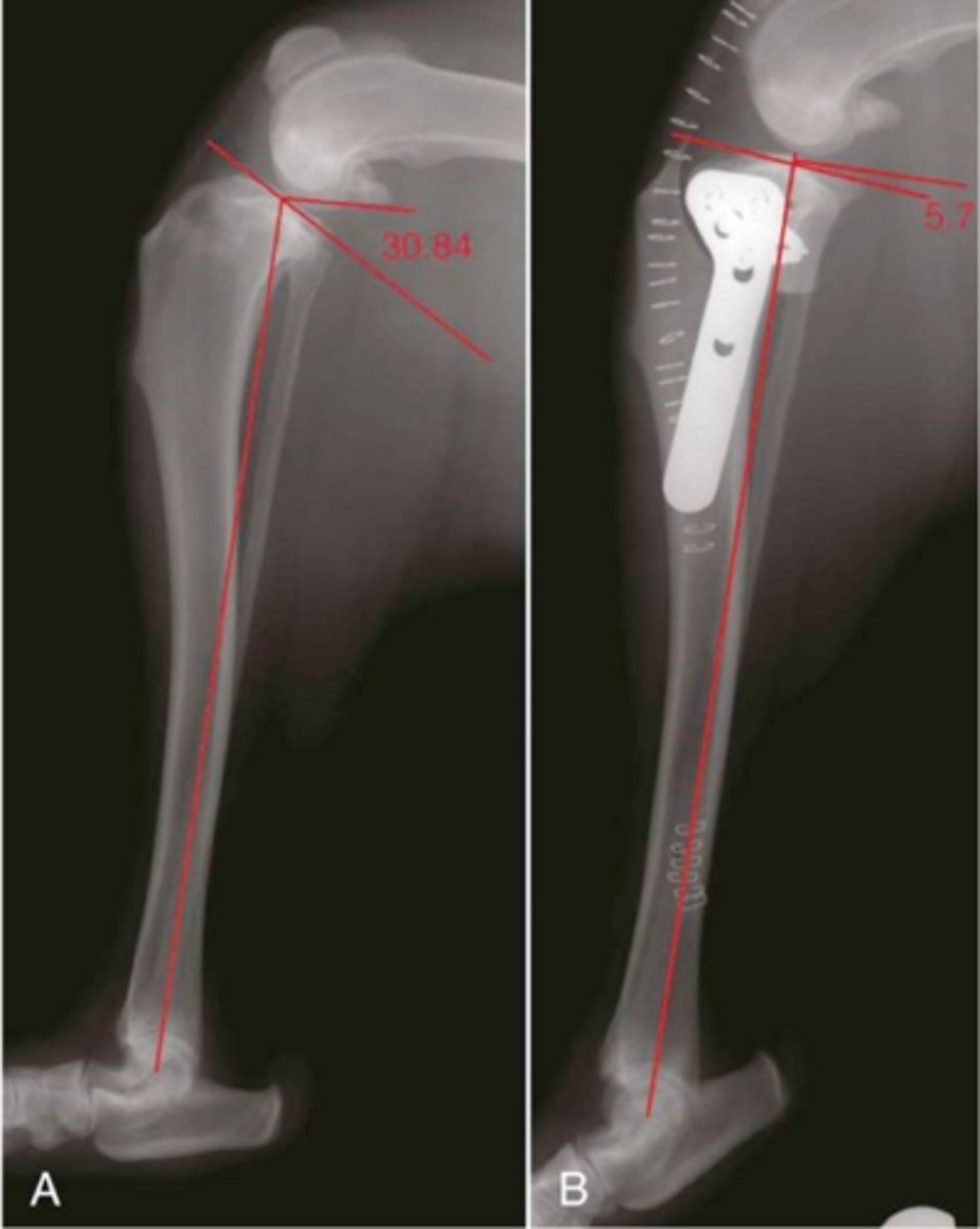 <p>what is shown here</p>