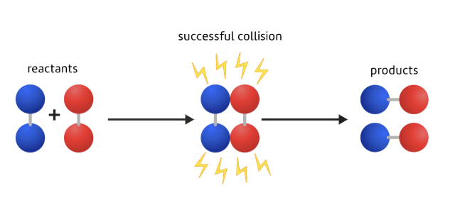 <ul><li><p><span>The idea that the re-arrangement of atoms requires collisions between the reactant particles.</span></p></li><li><p><span>It's only when the particles are in contact that new bonds can form to make the products.</span></p></li></ul><p></p>