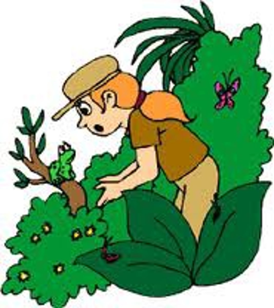 <p>ecologist</p>
