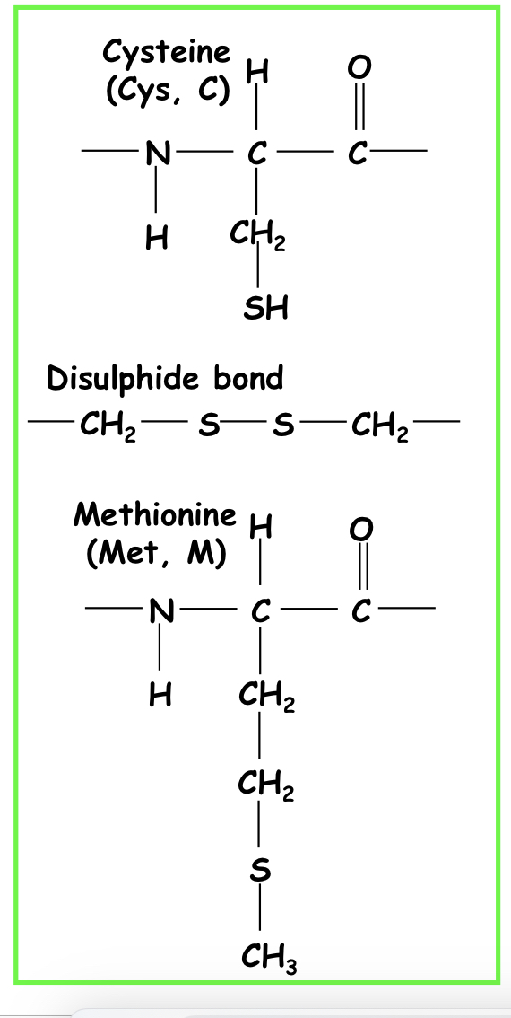 Cysteine and methionine 