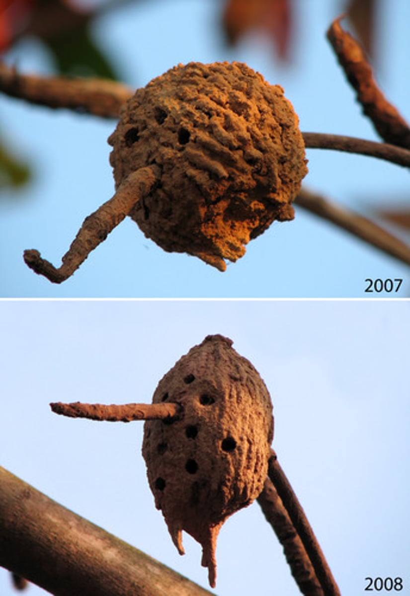 <p>The environment in which a species lives. For ex. an organisms address.</p>