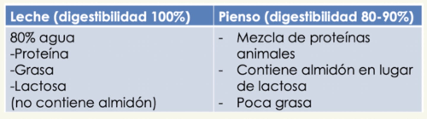 <p>leche: 100% digestibilidad</p><p>- no contiene almidón</p><p>- 80% agua</p><p>- mucha grasa</p>
