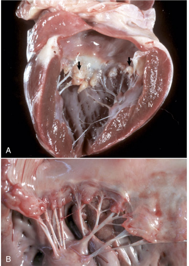 <p>What is this showing?</p>