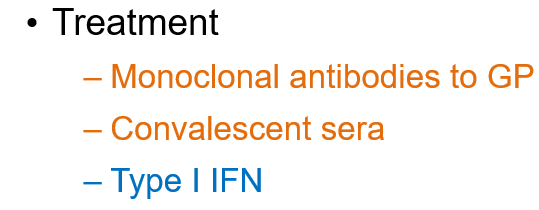 <ul><li><p><strong>Monoclonal antibodies to GP</strong> (Glycoprotein)</p></li><li><p><strong>Convalescent sera</strong> (antibodies from survivors)</p></li><li><p><strong>Type I IFN (Interferon)</strong></p></li></ul><p></p>