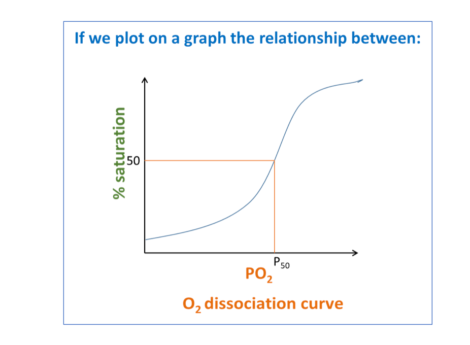 <p>What is the P50 value in the O2 dissociation curve and what does it represent?</p>