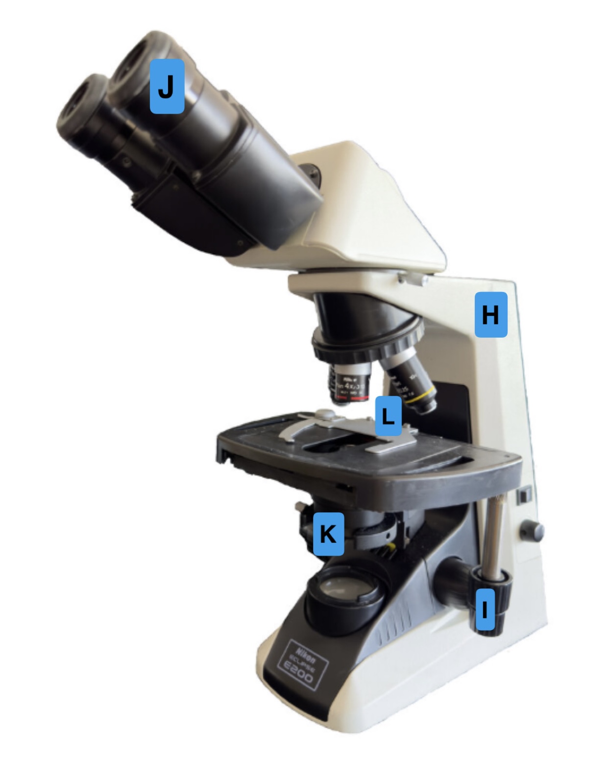 <p>What is (H) pointing to?</p>