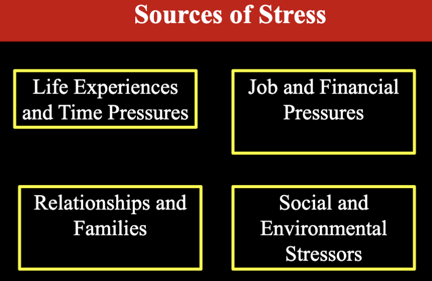 <ul><li><p>life experiences and time pressures</p></li><li><p>Job and financial pressures </p></li><li><p>Relationships and families</p></li><li><p>Social and environmental stressors</p></li></ul><p></p><p>Financial stressors or money is the BIGGEST stressors in the US.</p><p></p><p></p>