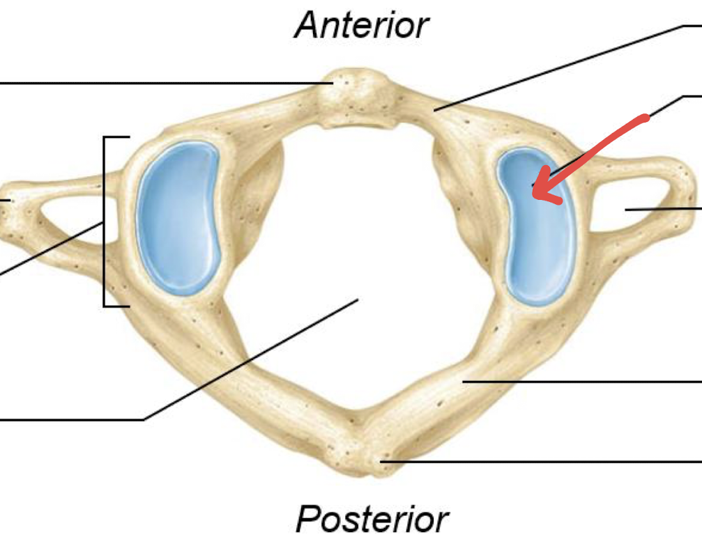 <p>what is this?</p>