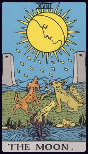 <p>XVIII. THE MOON</p>