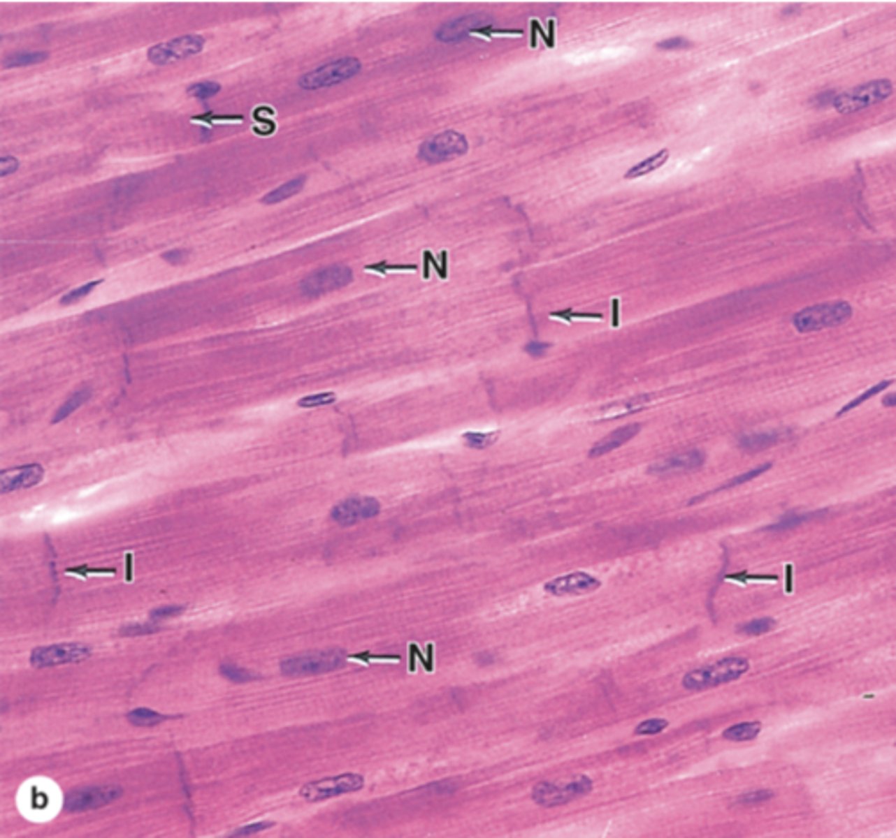 <p>name N</p>