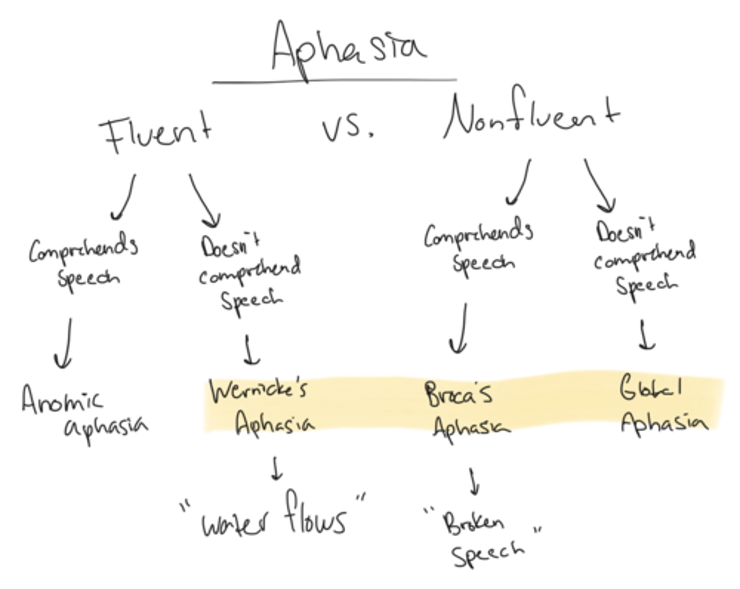 <p>Nonfluent, comprehends speech</p><p>"Broca Broken Speech"</p>