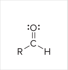<p>R can be hydrogen or carbon</p>