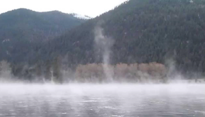 <p>Steam Fog </p>