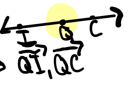 <p>Two rays that start at a common endpoint and together for a line (Head in opposite direction)</p>