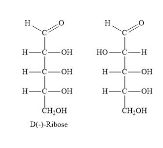 <p>what isomer is this?</p>