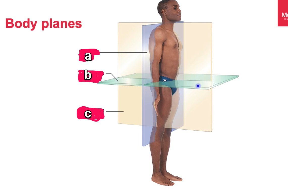 <p>label the plane</p>