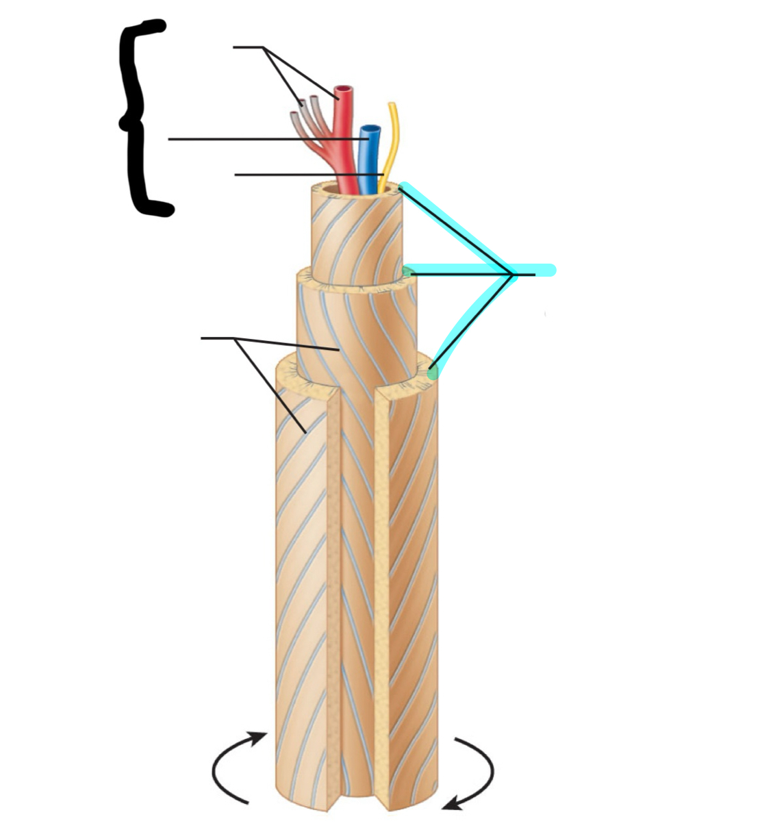 term image
