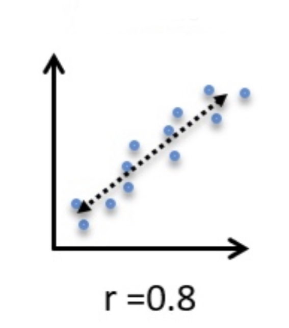 <p>What kind of correlation is this?</p>