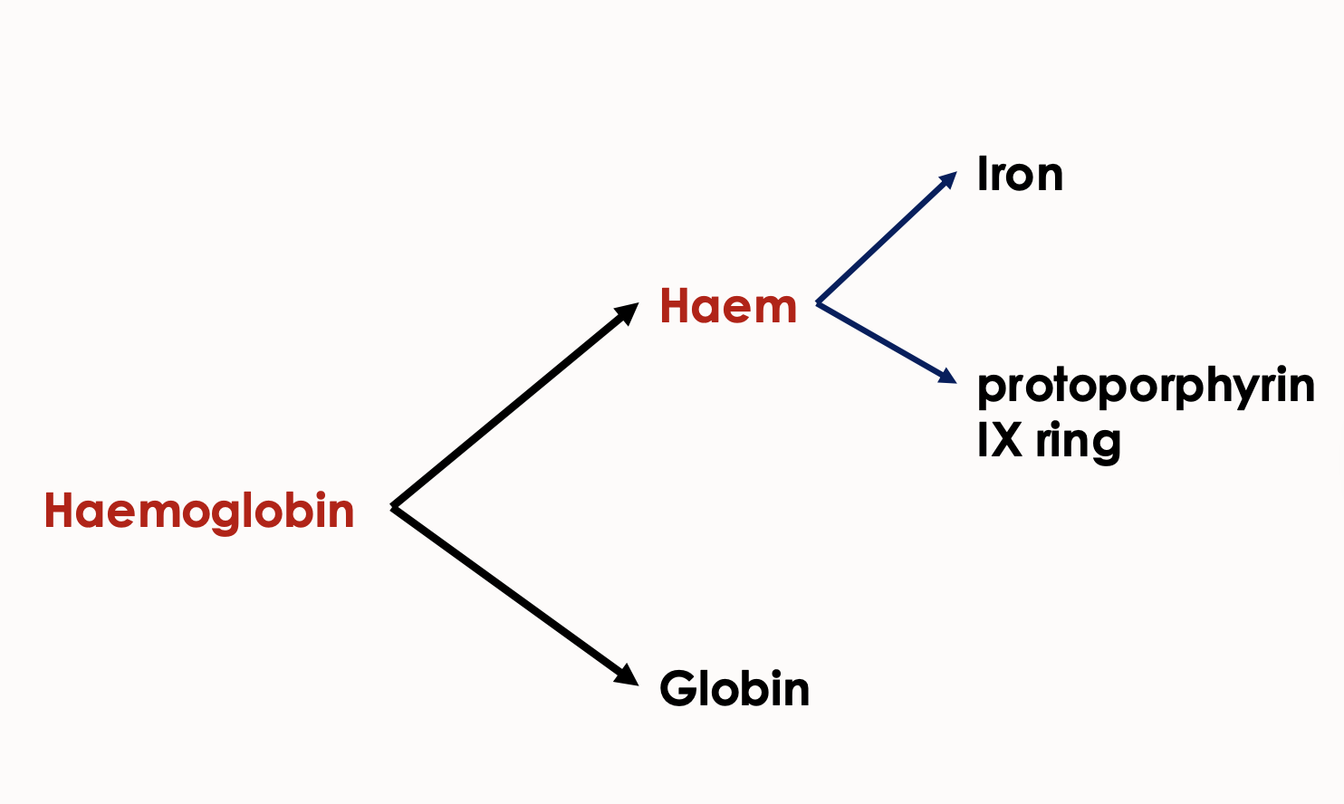 <p>haemoglobin = haem + globin </p><p>haem = iron + protoporphyrin IX ring</p>