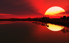 <p>to watch the sunset</p>