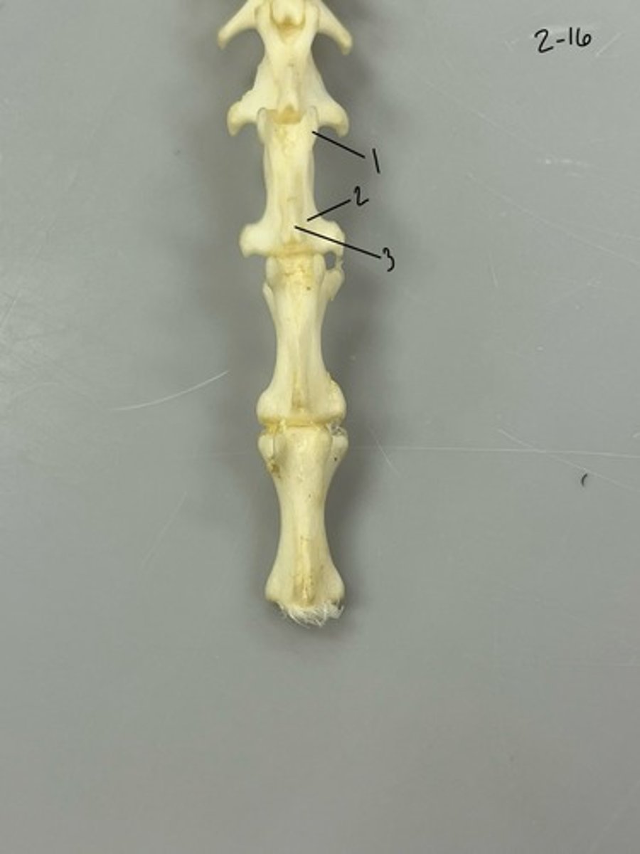 <p>Entire structure?</p>