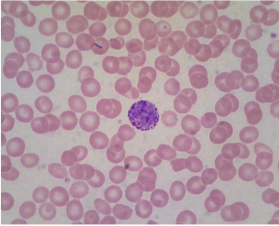 <p>what is this?</p>