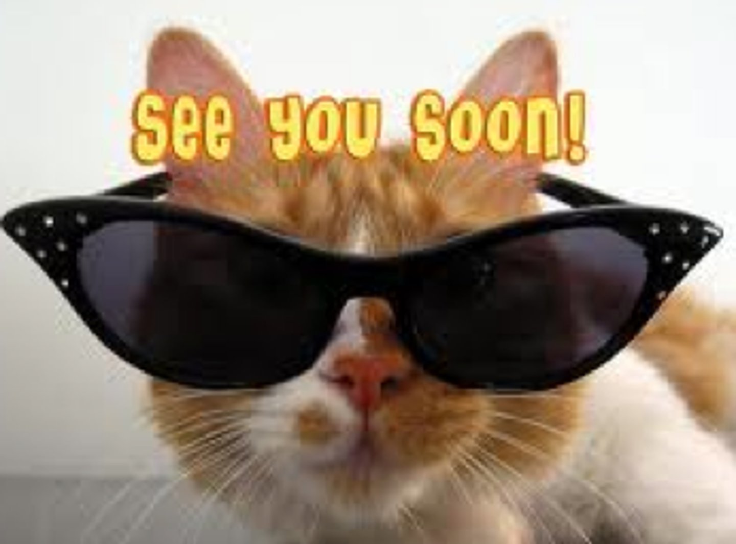 <p>See you soon.</p>