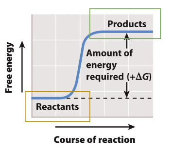 <p>Nonspontaneous, Reactions with a positive deltaG requires an input of energy</p><ul><li><p>Ex: Chemical energy increases (positive deltaH) and the degree of disorder decreases (Negative deltaS). </p></li></ul><p></p>