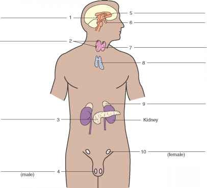 <p>Identify number 9</p>