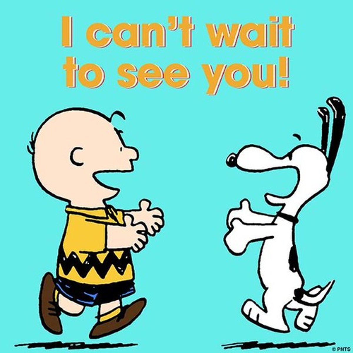 <p>I can't wait to...</p>