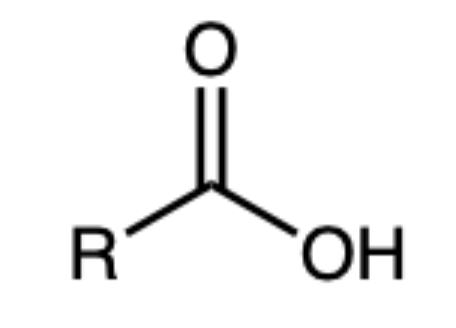<p></p>
