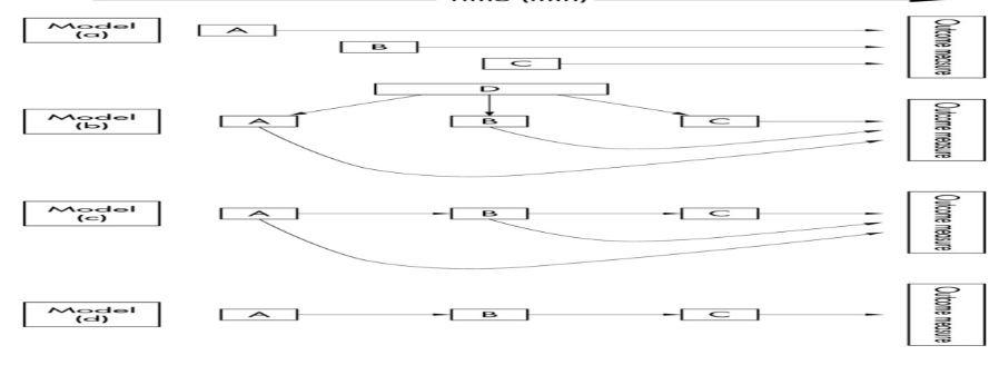 <p>Life-Course Models:</p><p>Chain of Risk(s) Model</p>