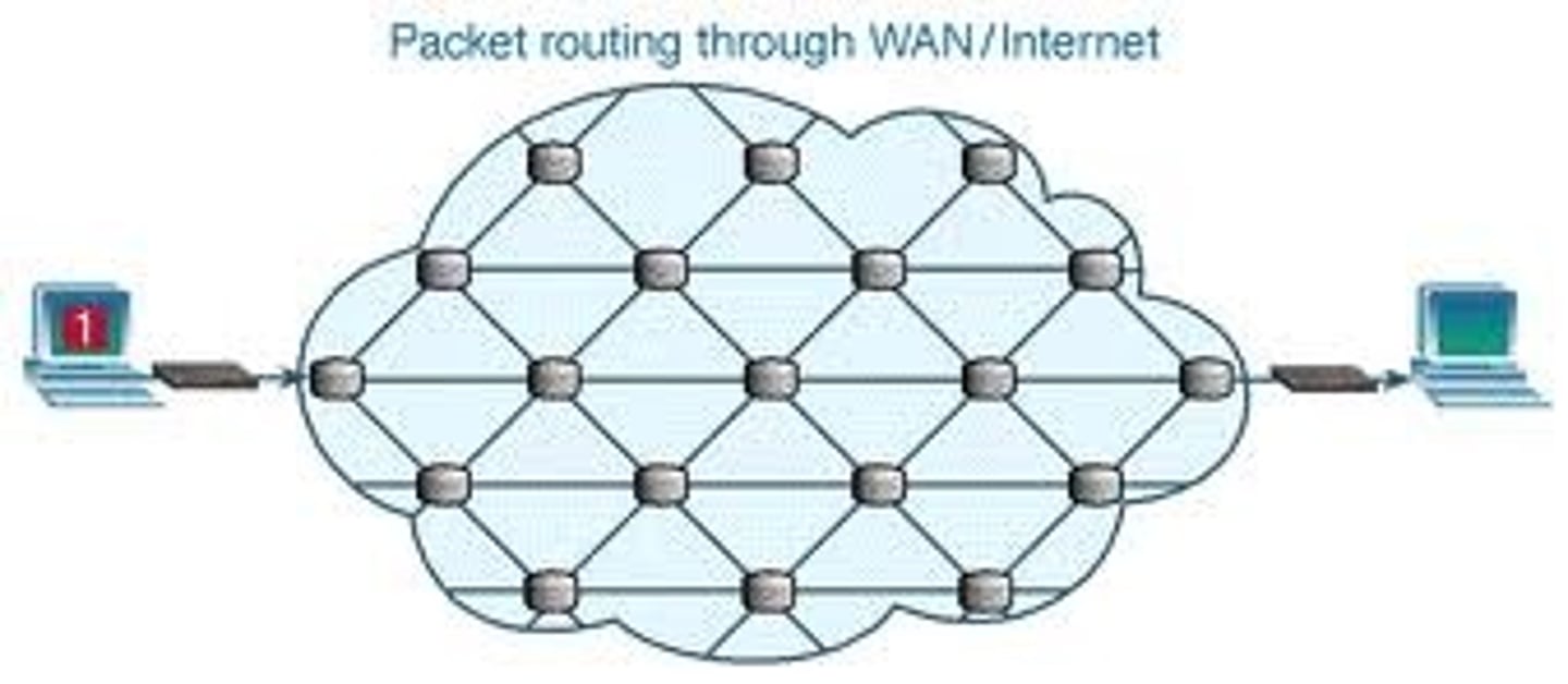 <p>A unit of data sent across a network</p>