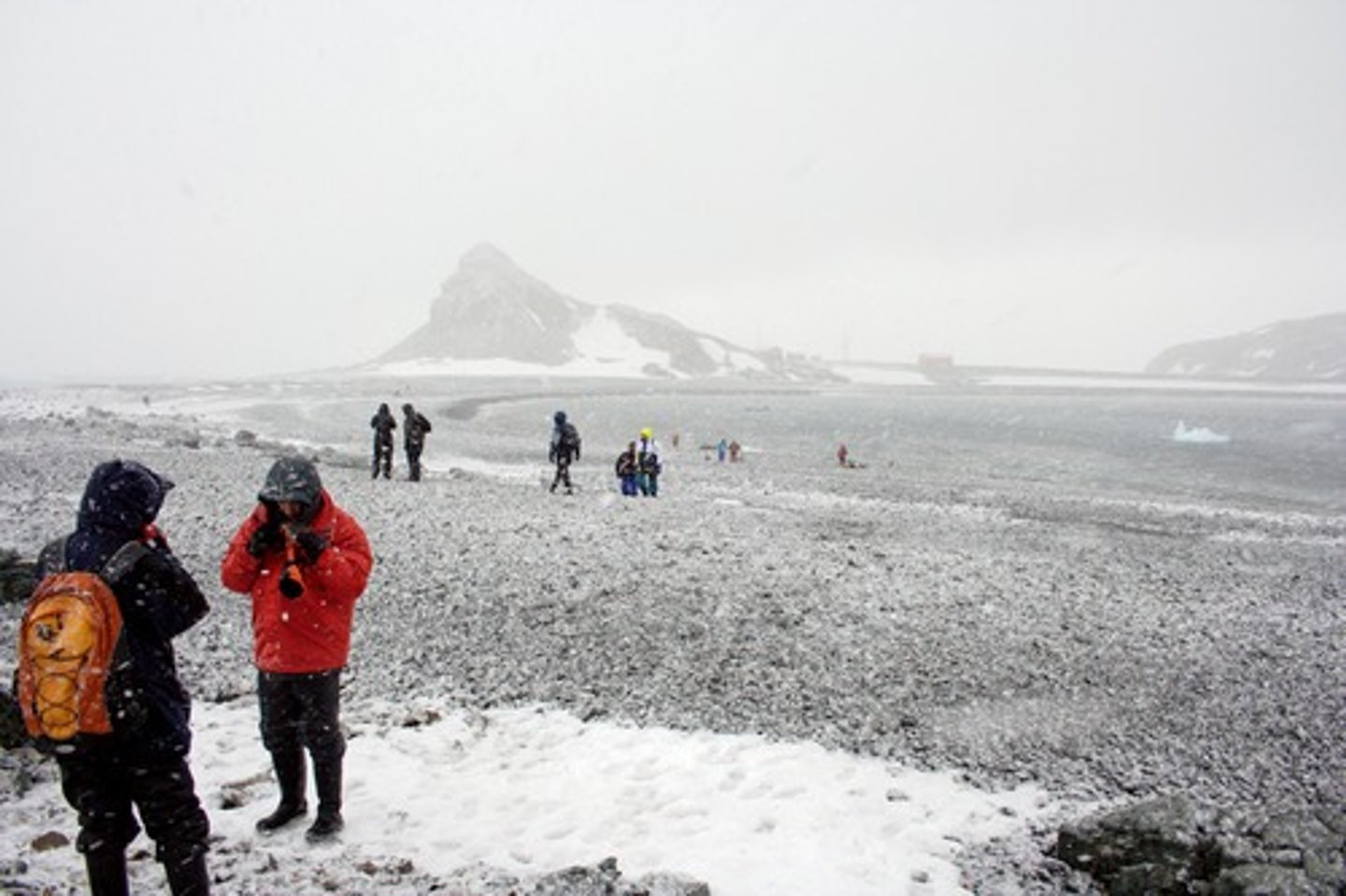 <p>It hasn't snowed,</p>