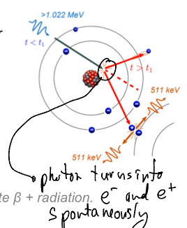 <p>Used only in radiotherapy not radiology, High energy photon spontaneously splits into an electron and a positron making some energy be transferred to matter— since positron is not natural, it will move away and collaide with another electron making both of them turn into photons which will propagate in opposite directions. </p>