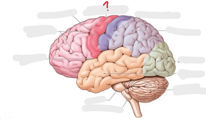 <p>What is this and what is its function?</p>