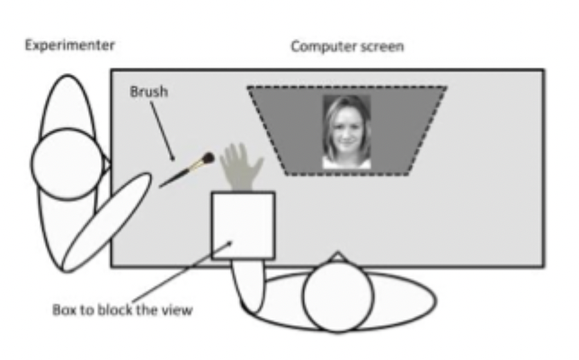 <p>What did Crucianelli et al (2016) find when AN patients were given affective and neutral touch when looking at images of faces with different facial expressions?</p><ul><li><p>smiling, rejecting and neutral</p></li><li><p>measured judgements of pleasantness and anhedonia</p></li></ul><p></p>