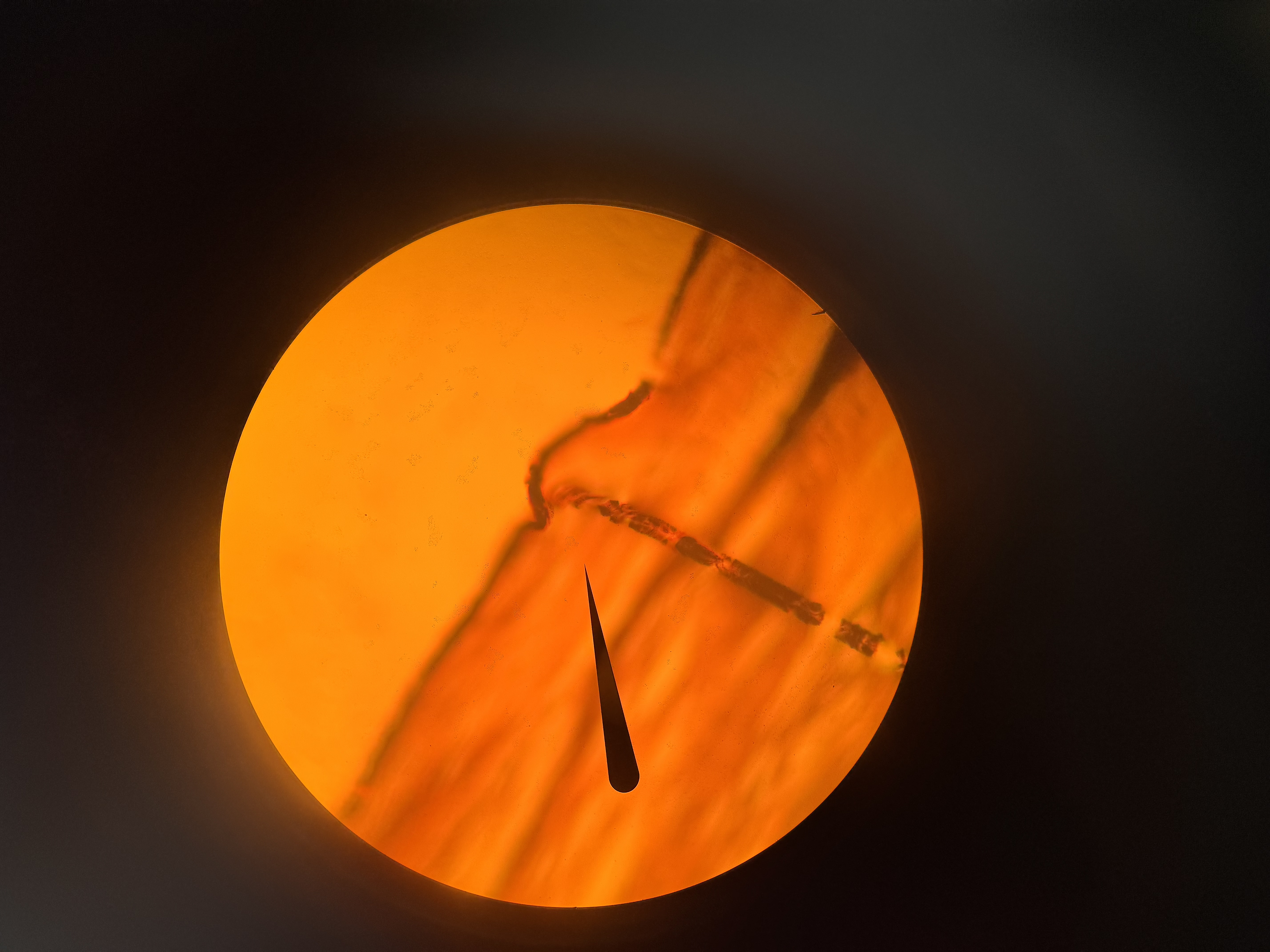 <p>What cell is this</p>