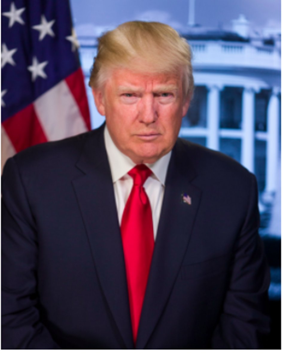 <p>45th U.S. President. 2017-2021. Republican</p>