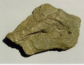 <p>Identify the metamorphic rock</p>