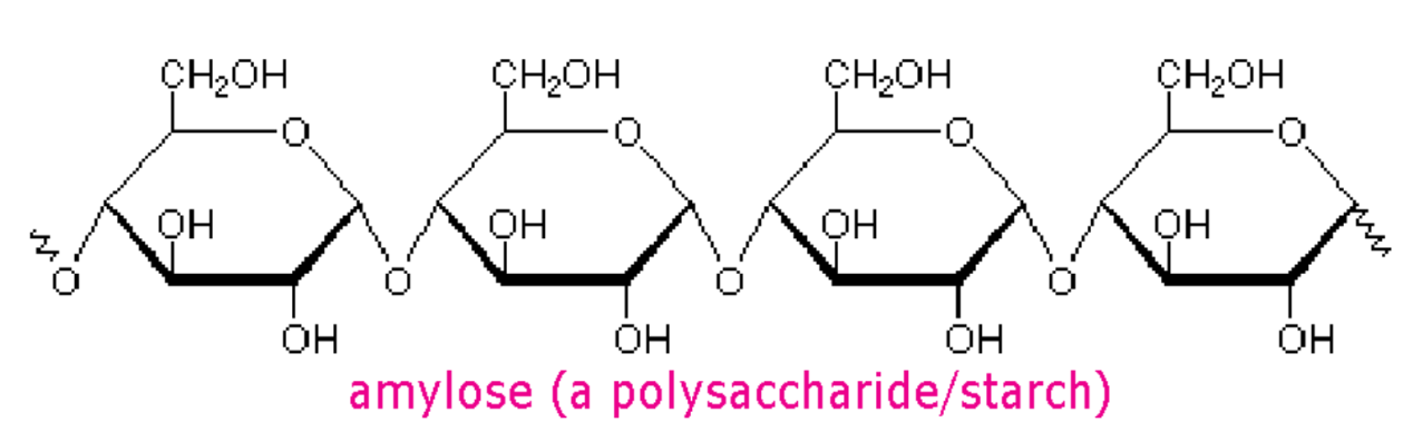 <p>long chains of sugar molecules</p>