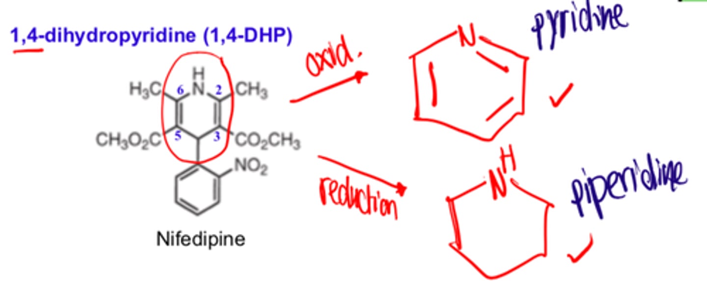 <p>- oxidized (pyridine)</p><p>- reduced (piperidine)</p>