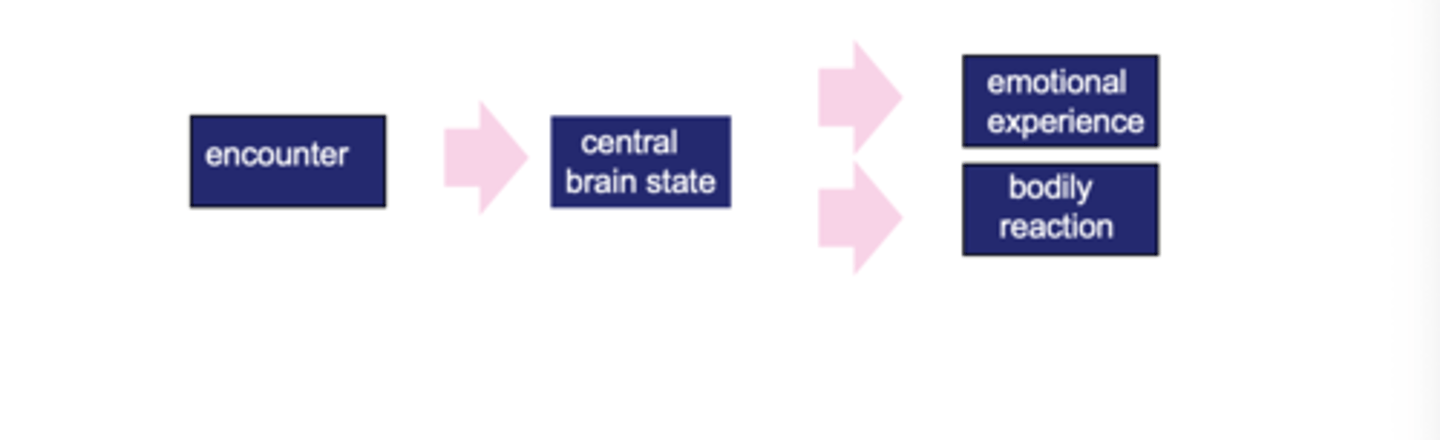 <p>Physiological changes and subjective emotional feeling as a response to a stimulus are separate and independent. </p>