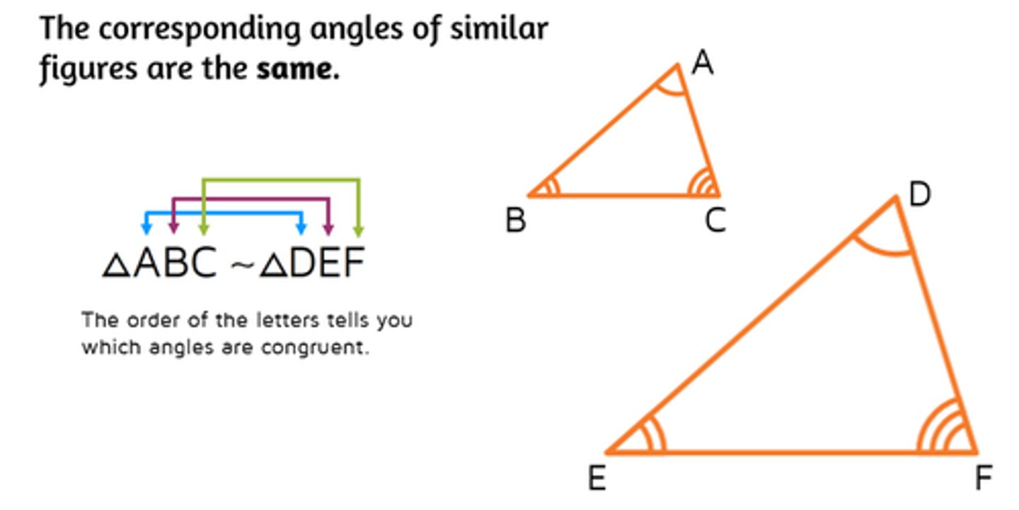 <p>A statement asserting that two figures are similar</p>