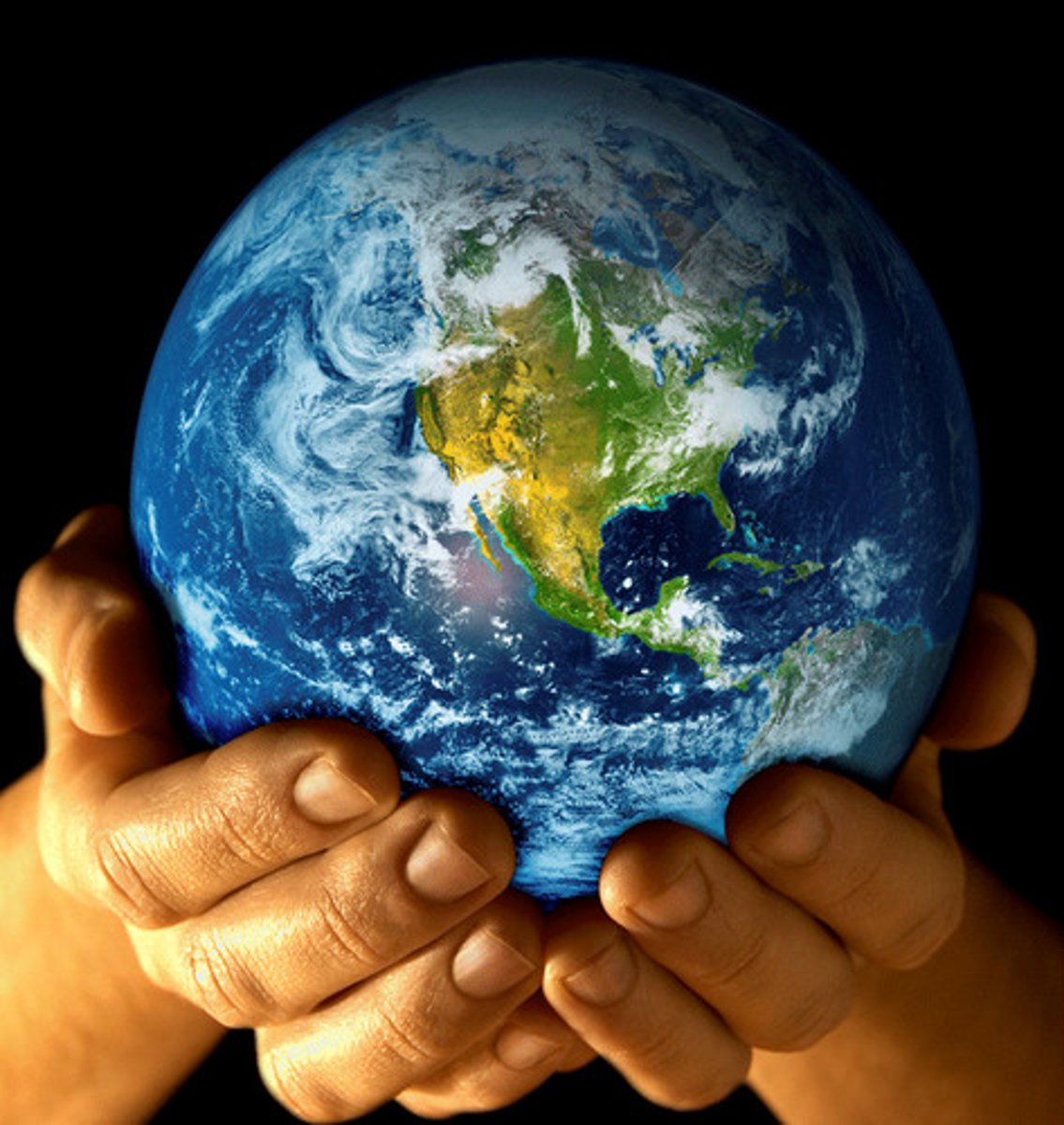 <p>the Earth</p>