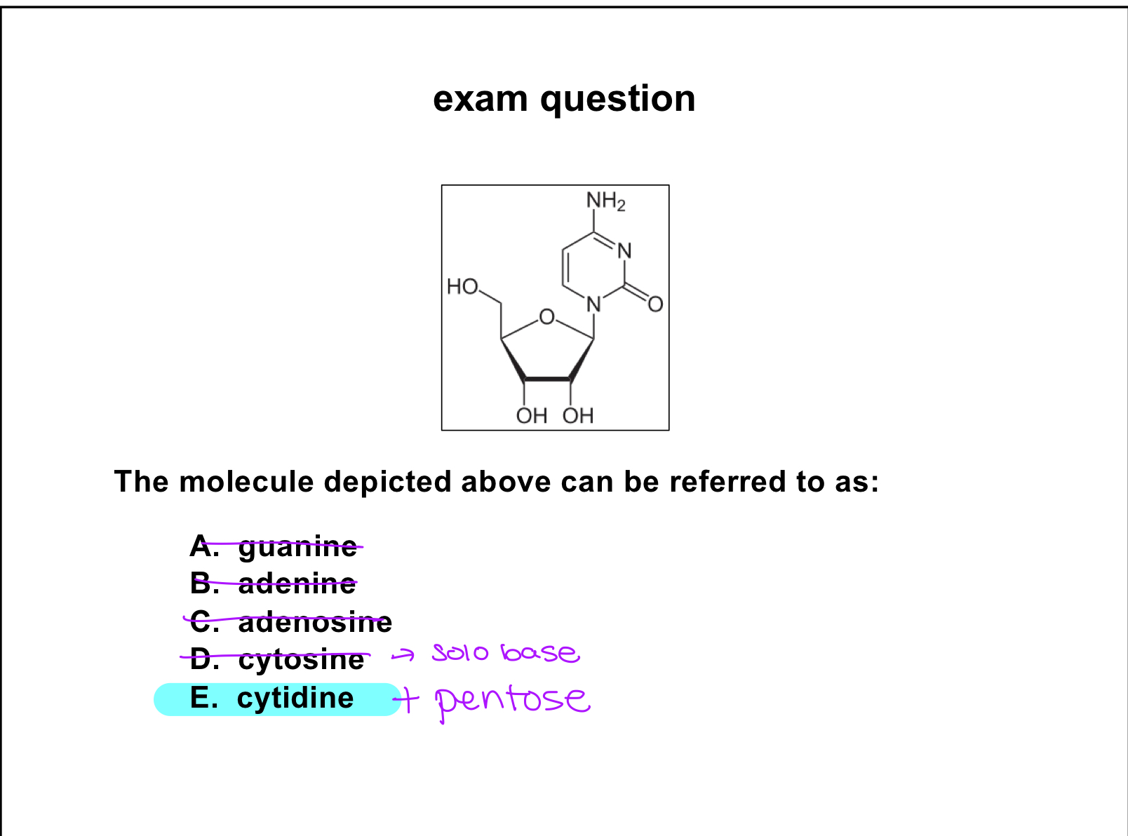 knowt flashcard image