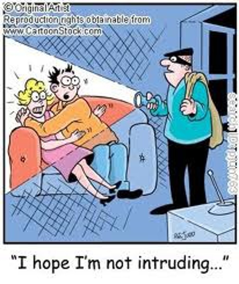 <p>(n.) One who moves in where he or she is not wanted or has no right to be, an intruder.</p><p>Synonyms: Trespasser, Meddler, Buttinsky</p>