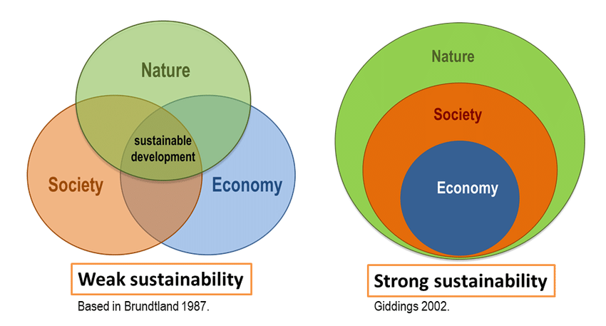 weak vs strong sustainability