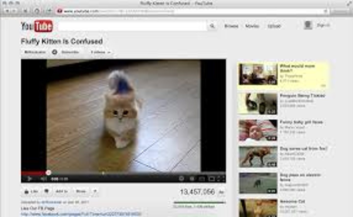 <p>đoạn phim hình, video</p>