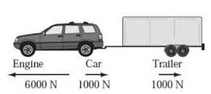 <p>The net force on the following system is</p>